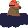 Ch0ca
