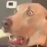 miti0o