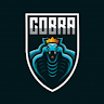 cobratjeeofficial