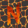 newfire_