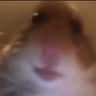 Yunnn