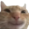 deexbeam