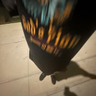 wizardofchase