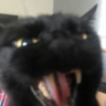 imsosoul