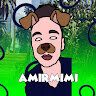 amr_glitcher