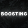 Boosting4Life