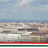 hemy