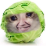 Lefrut