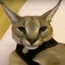 LUTEK