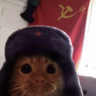 nudeslover69