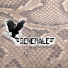generalekk2