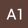 A1-INDIA