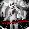 DviRSs