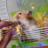 icecream0506