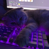 gamingrp