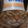 er_gatito