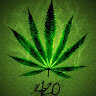darkhorse