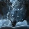 wolfy19