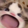 WhyMeXD