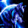 Lone_wolf1653