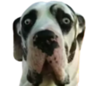 Versini