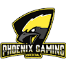 phoenixkart