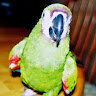 TheAngrySicilian