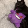 torqr