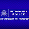 policecat405