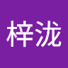 Dragon子龙