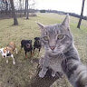 kimioott