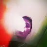 DayatProg