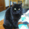 Sparky1999