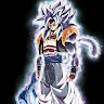 yahav_game