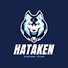 hatakengamin