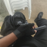 elChacal