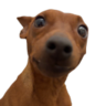 Emme_ha