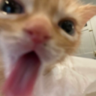 itz_3mr
