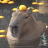 delphinus