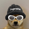 Mdoggo
