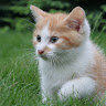 Zbigniew_777