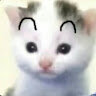 999690528532
