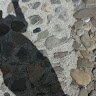 redsimon04_