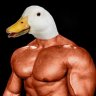 stoopidduck
