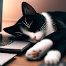 stuxiecat