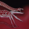 SOYTORO