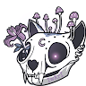 iwa