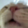 hiannex_