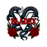 BladeXEcho