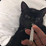 miau6923